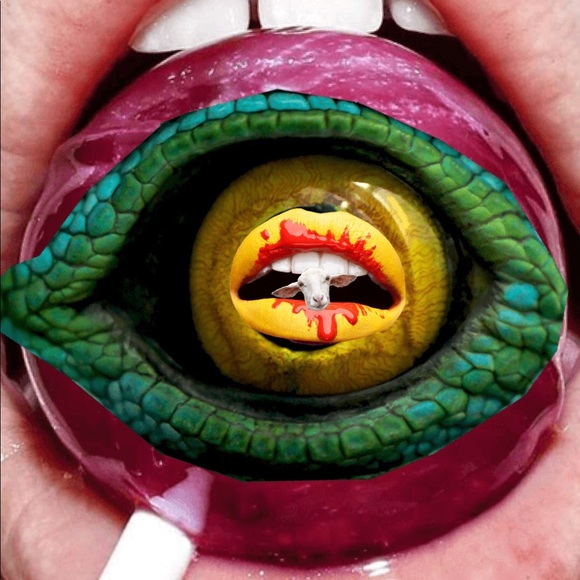 Meet your Posher, Elijah - Picture 2 of 2